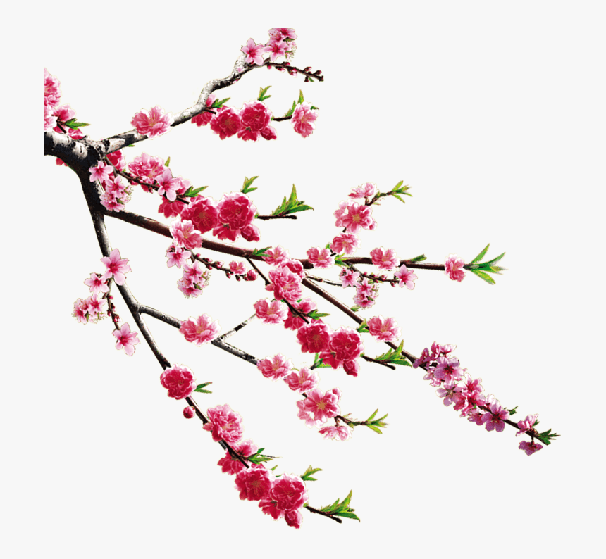 手绘梅花装饰 - 风景 图片, HD Png Download