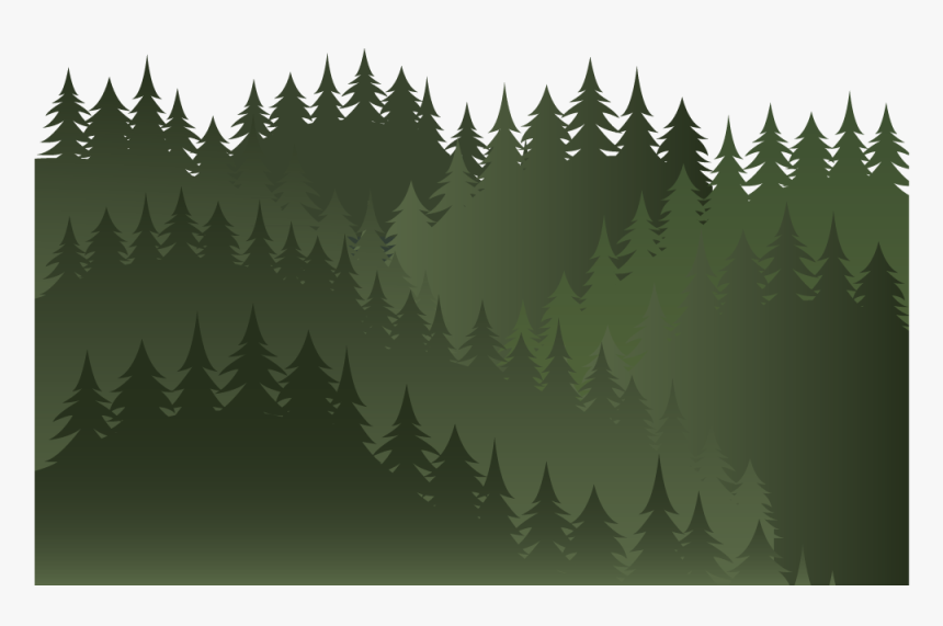 Spruce-fir Forest, HD Png Download