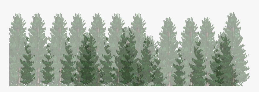 Big Bear Inn - Christmas Tree, HD Png Download