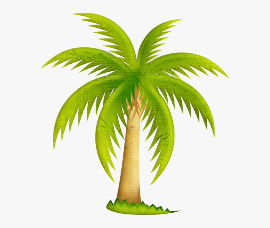 California Palm Palm Trees Clip Art Mexican Fan Palm - Date Tree Png Clipart, Transparent Png