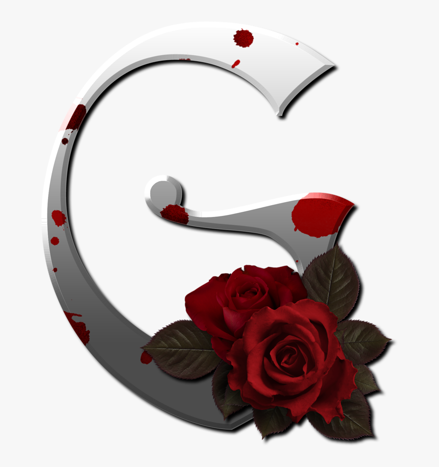 Red Rose F Letter Rose, HD Png Download