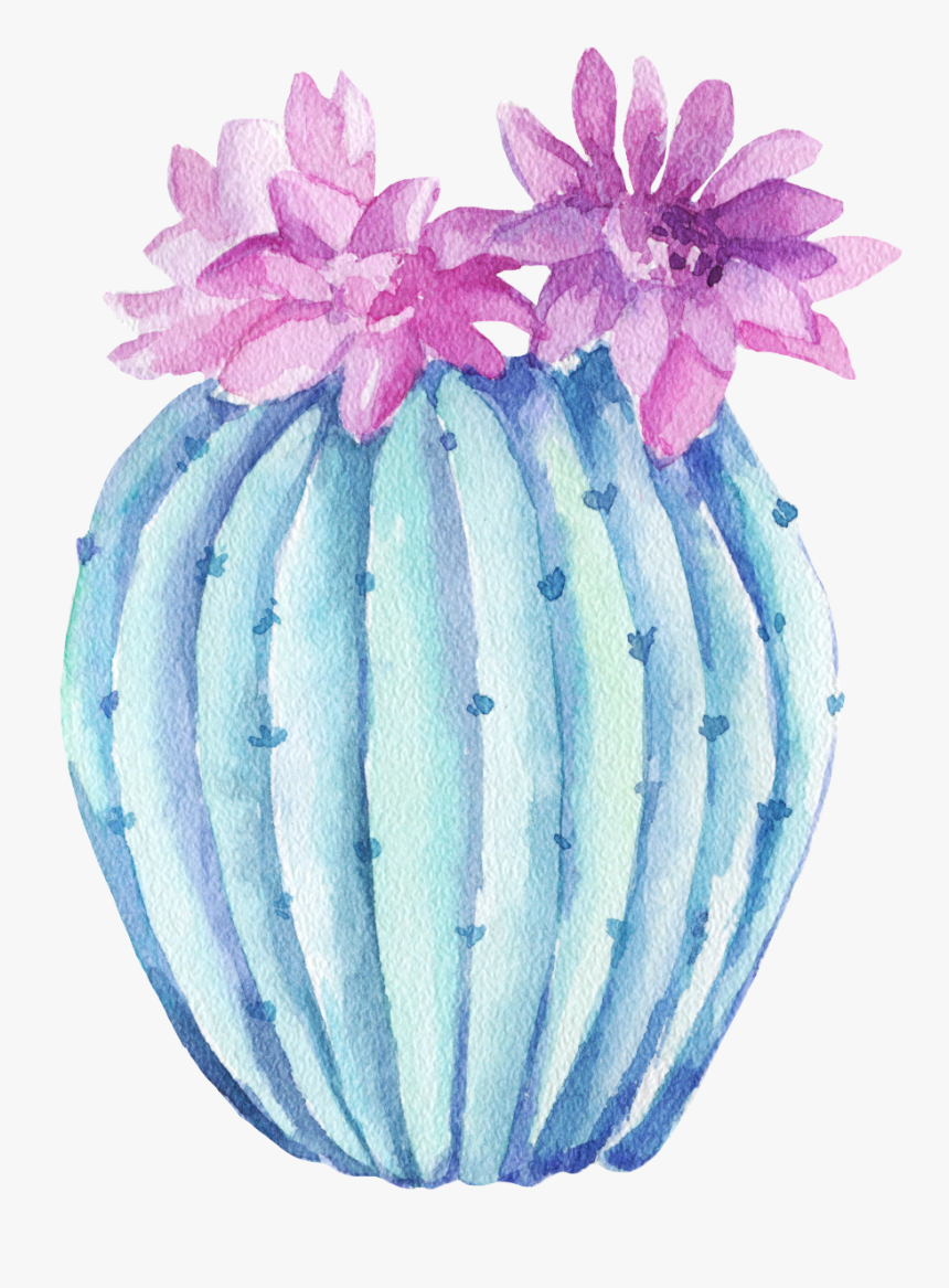 #freetoedit #ftestickers #watercolor #cactus #green - Chrysanths, HD Png Download