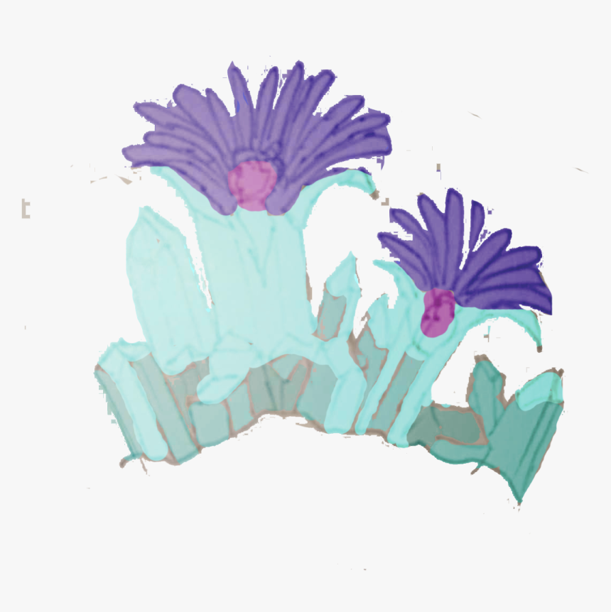 African Daisy, HD Png Download