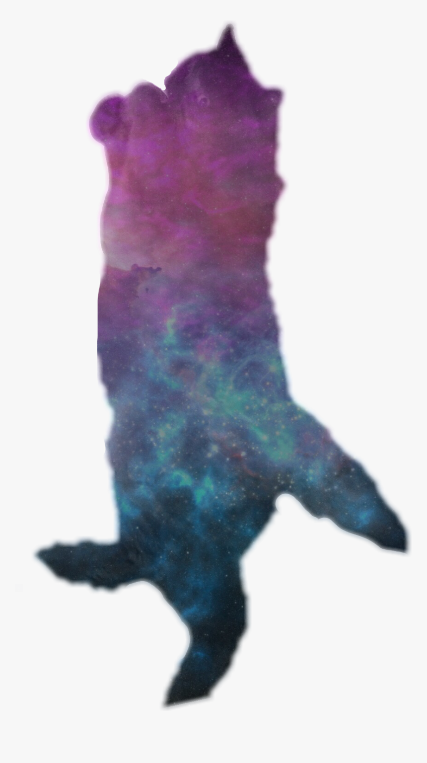 #cat #space #cats #funnycats - Watercolor Paint, HD Png Download