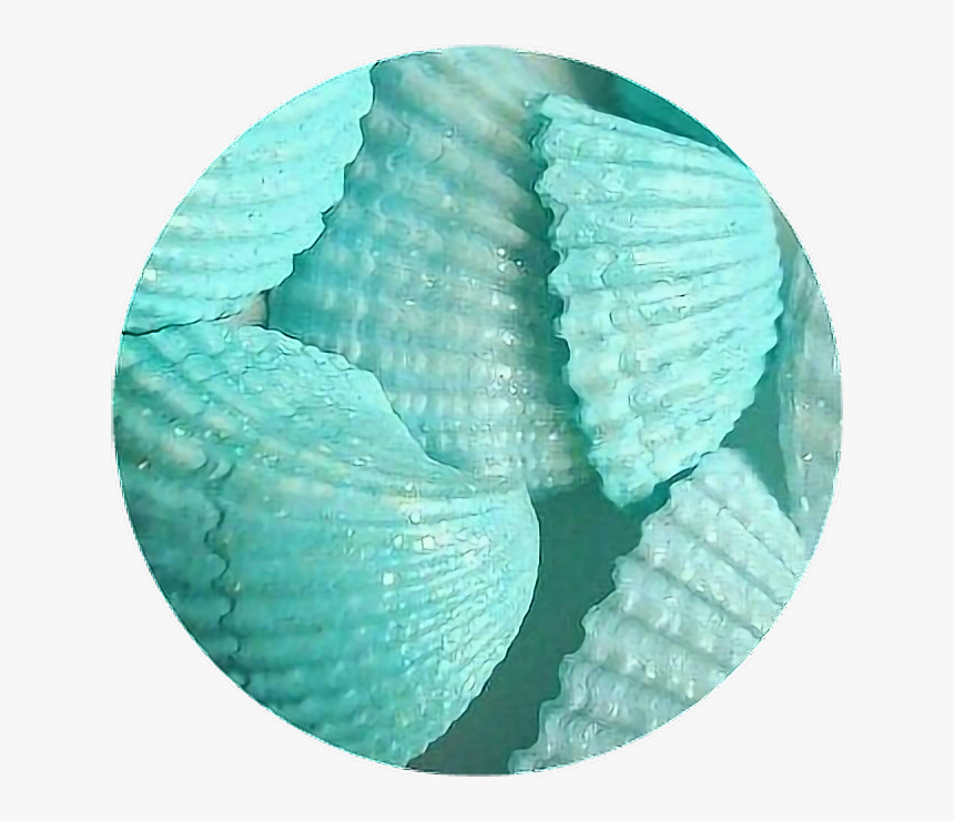#circle #png #tumblr #aesthetic #remixit #overlay#backgroud - Blue Aesthetic Shells, Transparent Png
