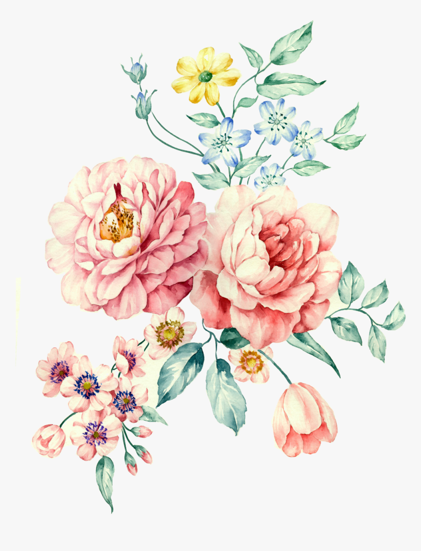 #flower #flowers #peony #peonia #color #pastel #watercolor - Peony, HD Png Download