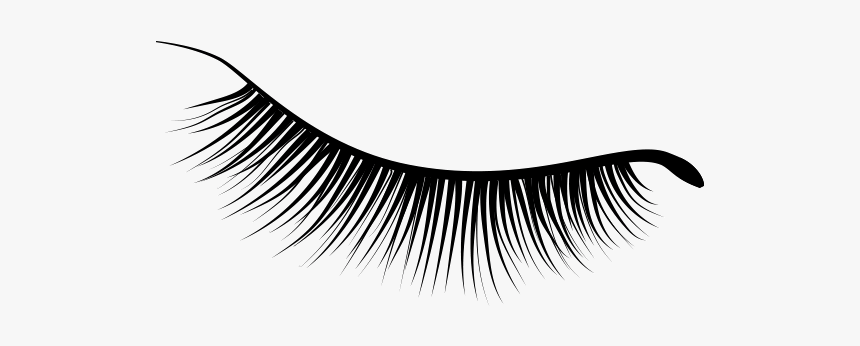 Eye Brows Png, Transparent Png