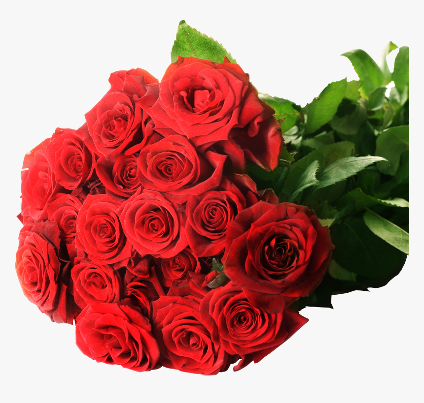 Rose Png, Transparent Png