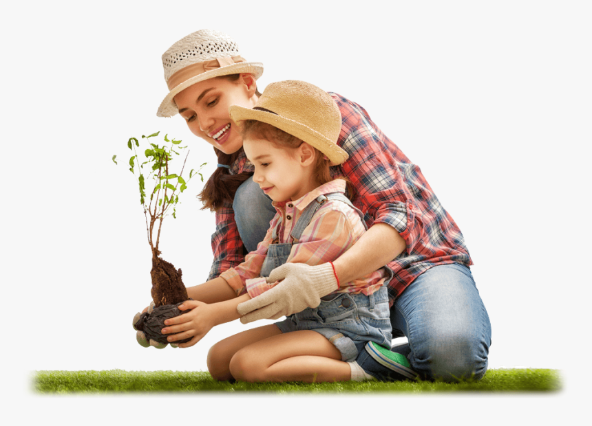 Macrostock, HD Png Download