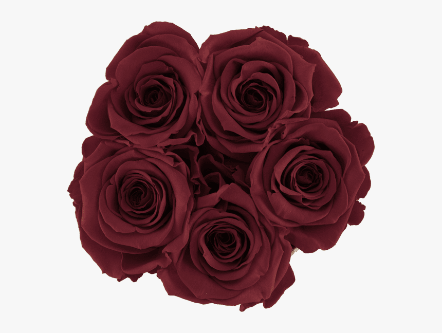Black Rose Transparent Png, Png Download