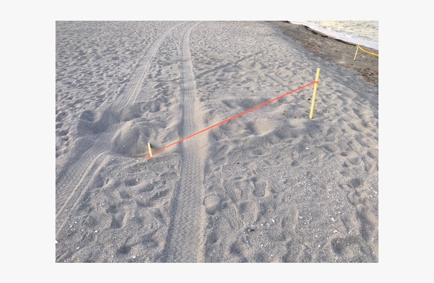 Aerial Photography, HD Png Download