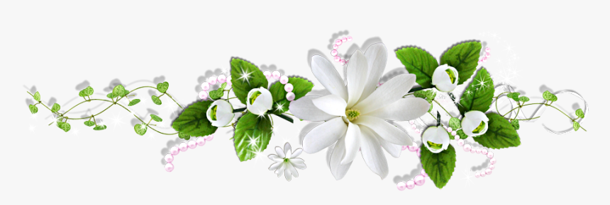 พื้น หลัง ดอก มะลิ, HD Png Download