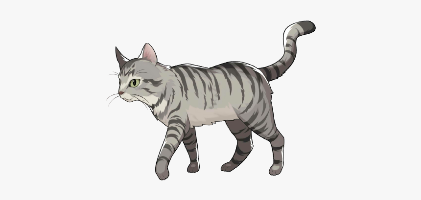 Tabby Cat, HD Png Download