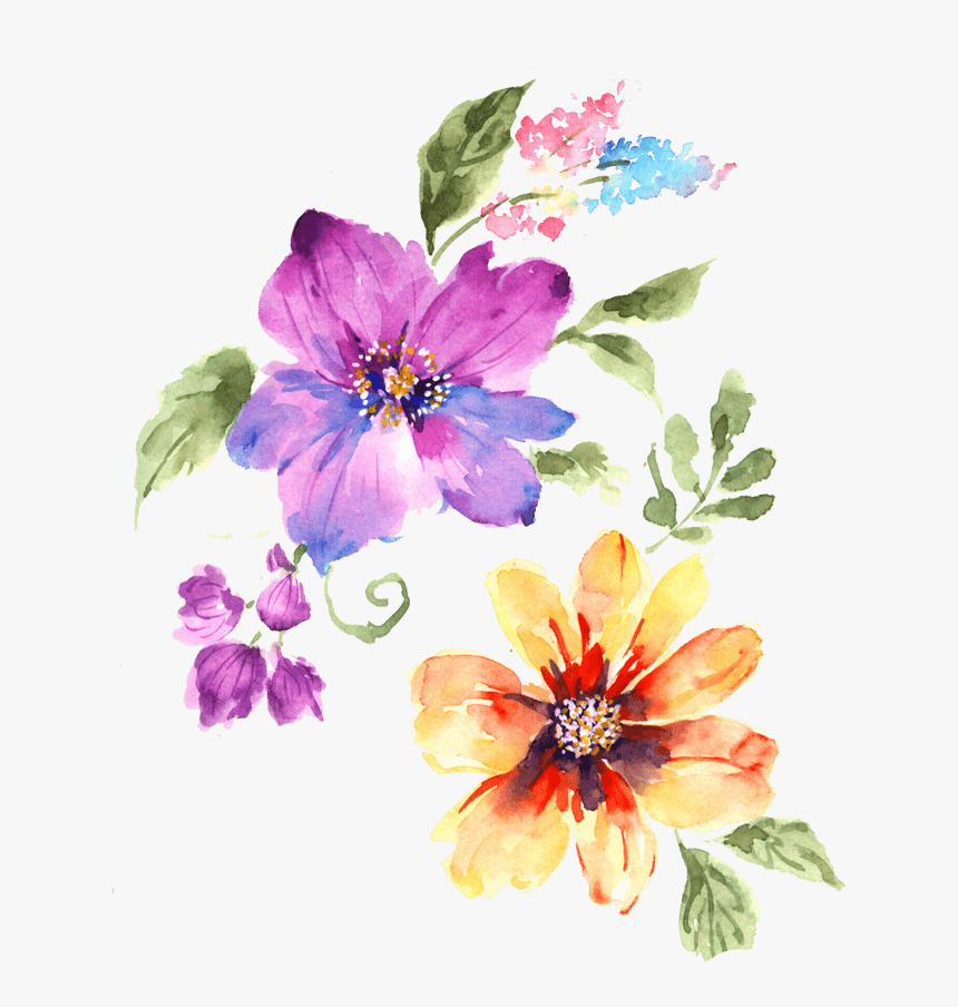 中国风荷花水彩画 - Portable Network Graphics, HD Png Download