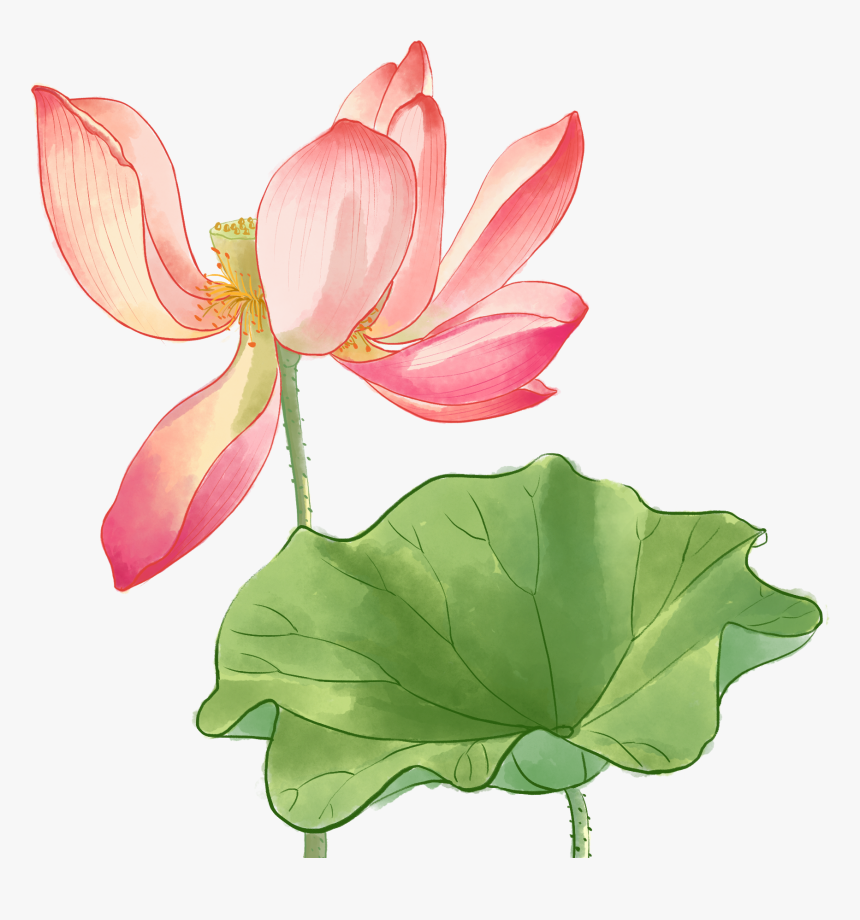 Watercolor Painting, HD Png Download