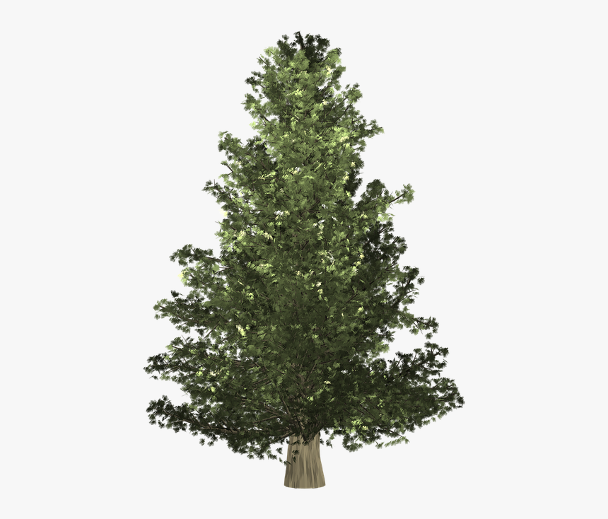 Growing Tree Christmas Arbor - Christmas Day, HD Png Download