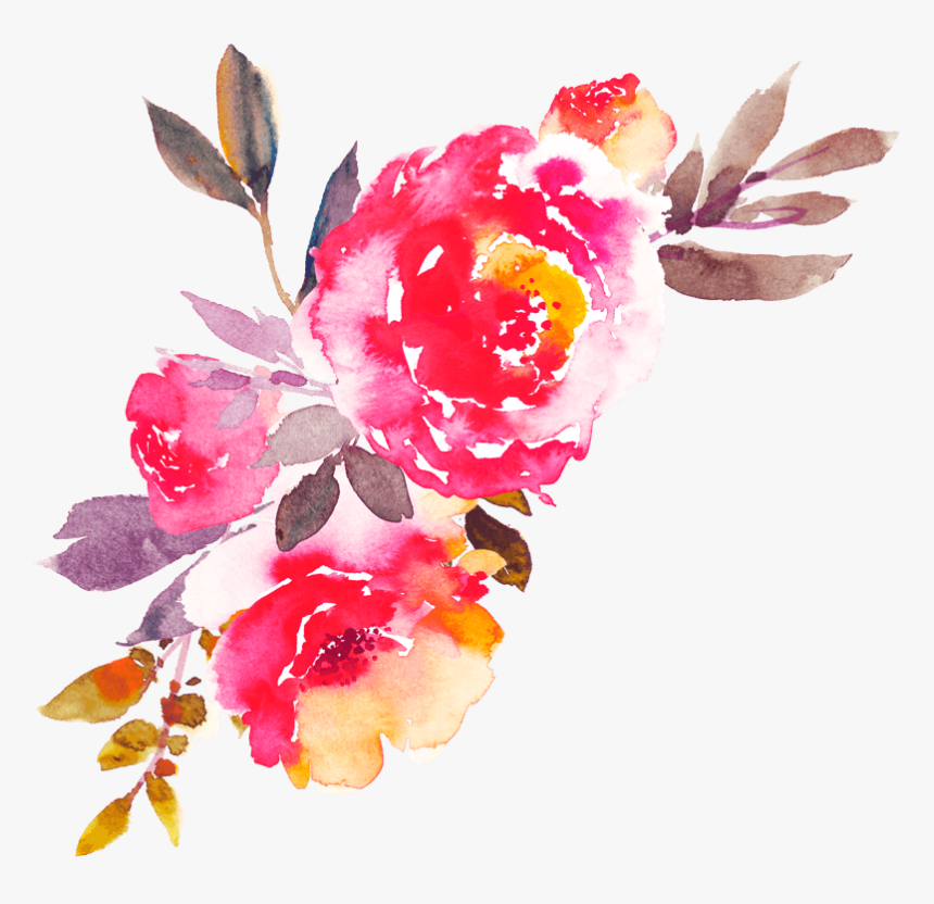 中国风荷花水彩画 - Cattleya, HD Png Download