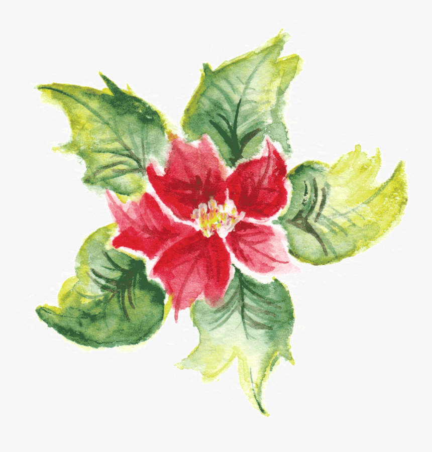 Chinese Hibiscus, HD Png Download