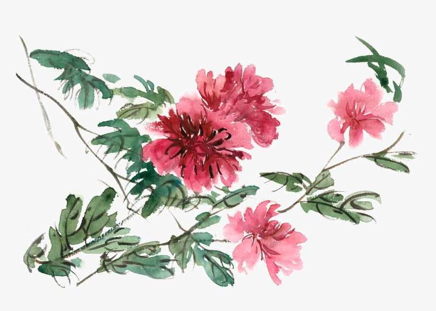 Floral Watercolor Png, Transparent Png