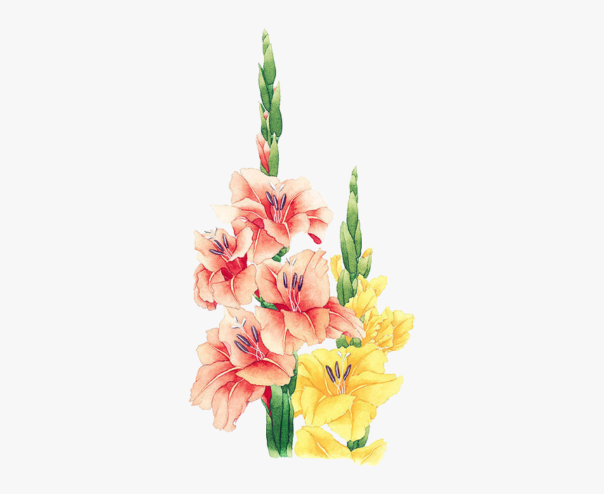 Floral Watercolor Png, Transparent Png