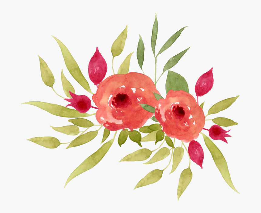 中国风荷花水彩画 - Common Peony, HD Png Download