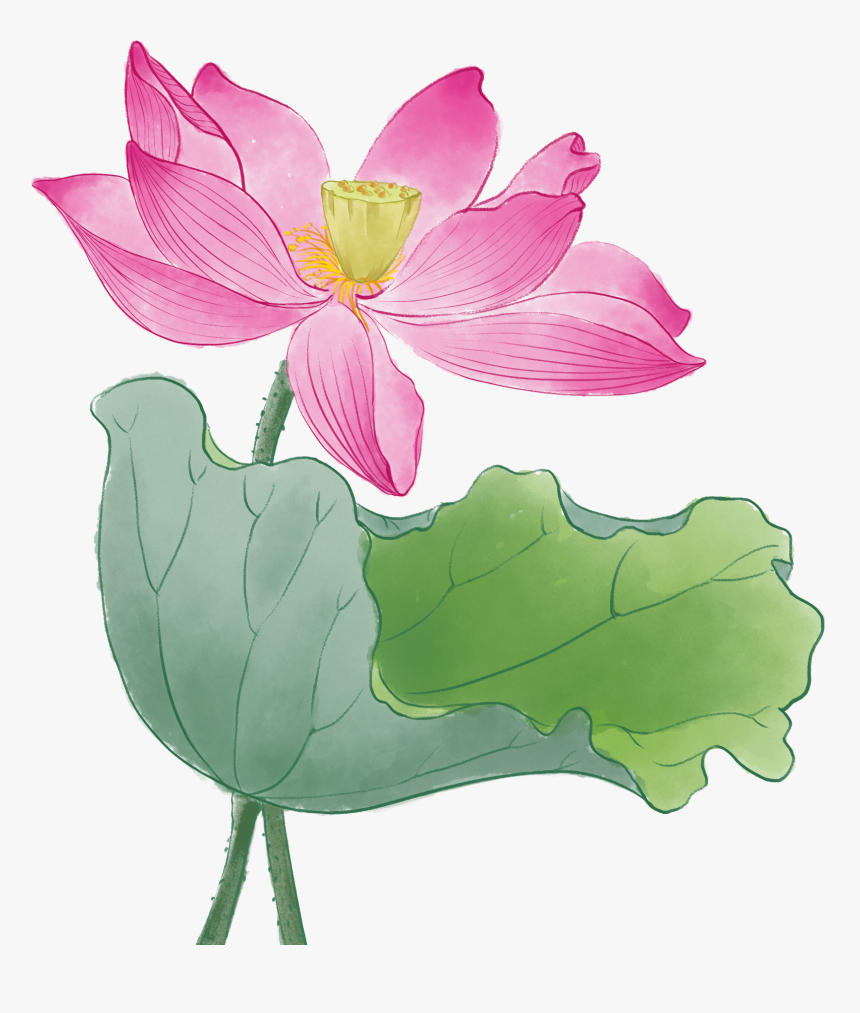 荷花 池 水彩畫 Hd Png Download Transparent Png Image Pngitem 荷花 池 水彩畫 Hd Png Download Transparent Png Image Pngitem