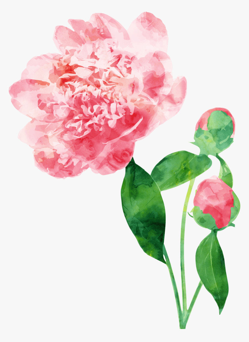 花儿绿草素材 - Sulu Boya Bitki, HD Png Download