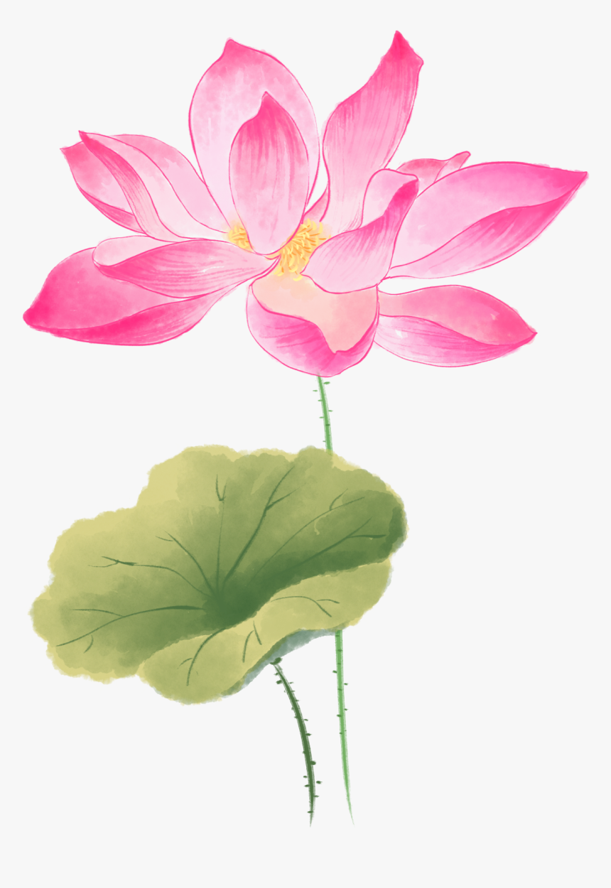 素材 手繪 花, HD Png Download