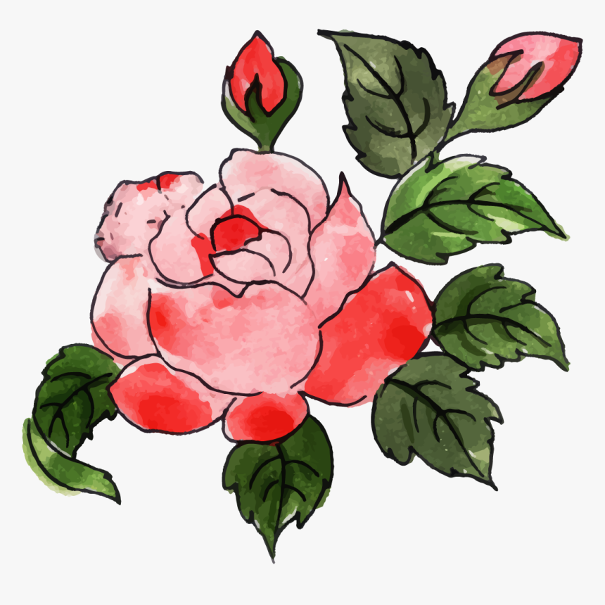 Garden Roses, HD Png Download