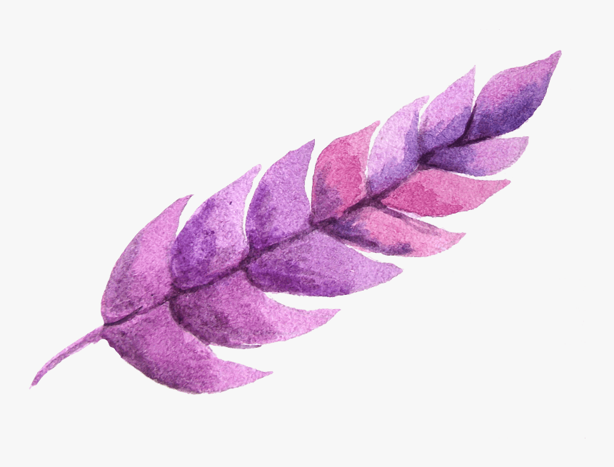 中国风荷花水彩画 - Floral Design, HD Png Download