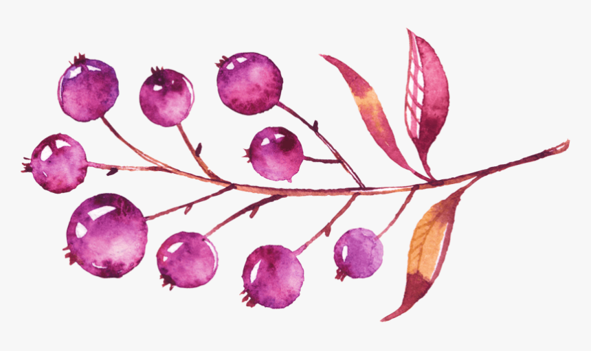草莓水果维生素果子榨汁 - Illustration, HD Png Download