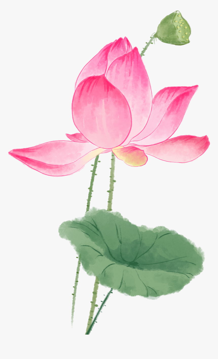 Watercolor Painting, HD Png Download