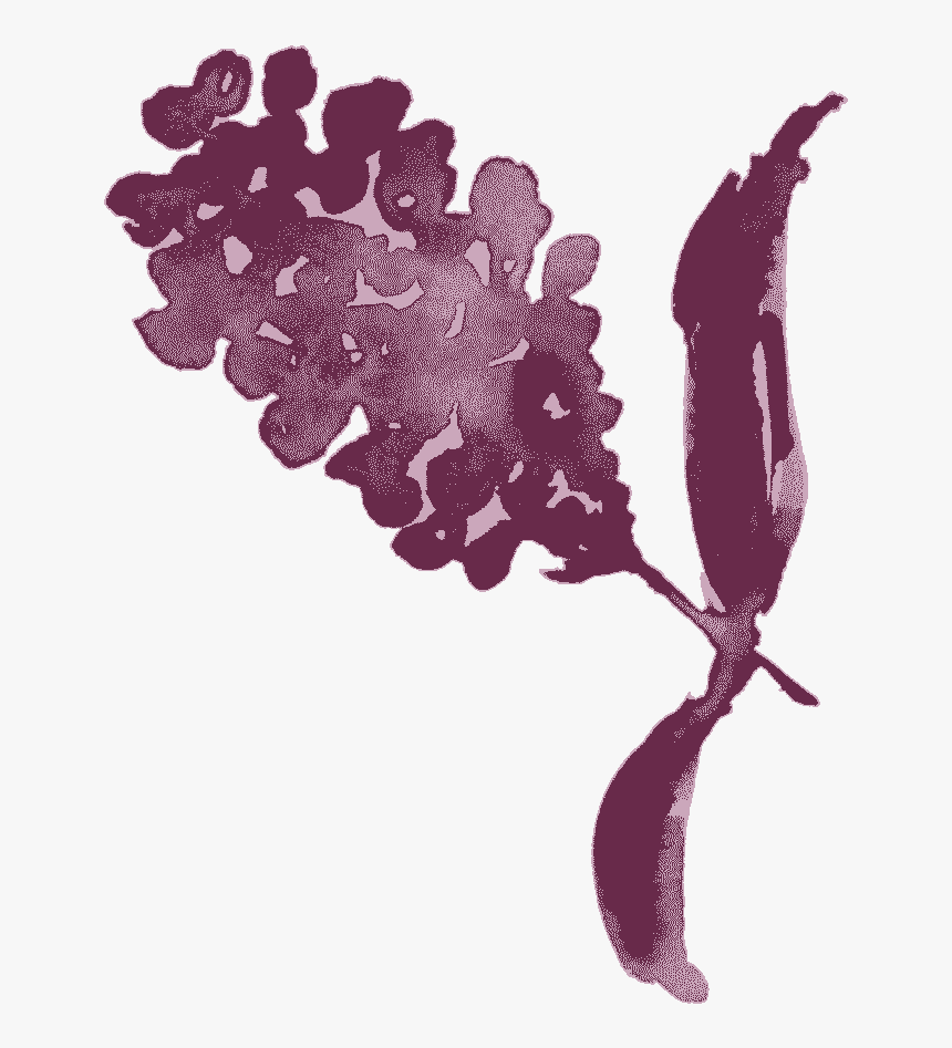 Illustration, HD Png Download
