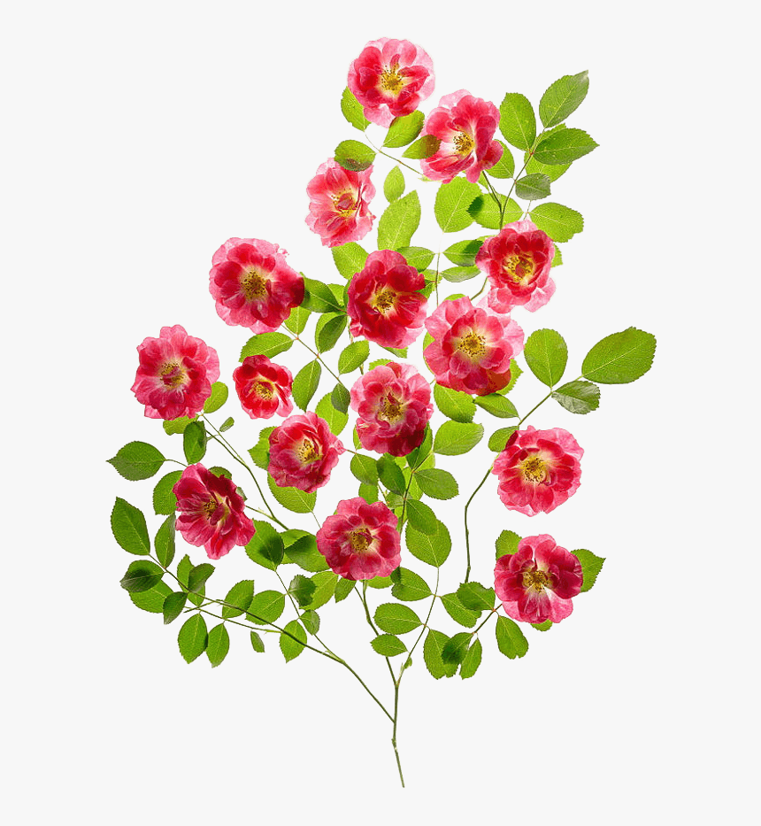 春天绿色植物花朵小清新元素设计 - Bouquet, HD Png Download