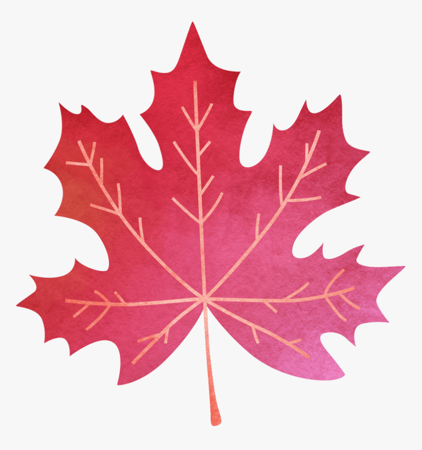 中国风荷花水彩画 - Watercolor Painting, HD Png Download