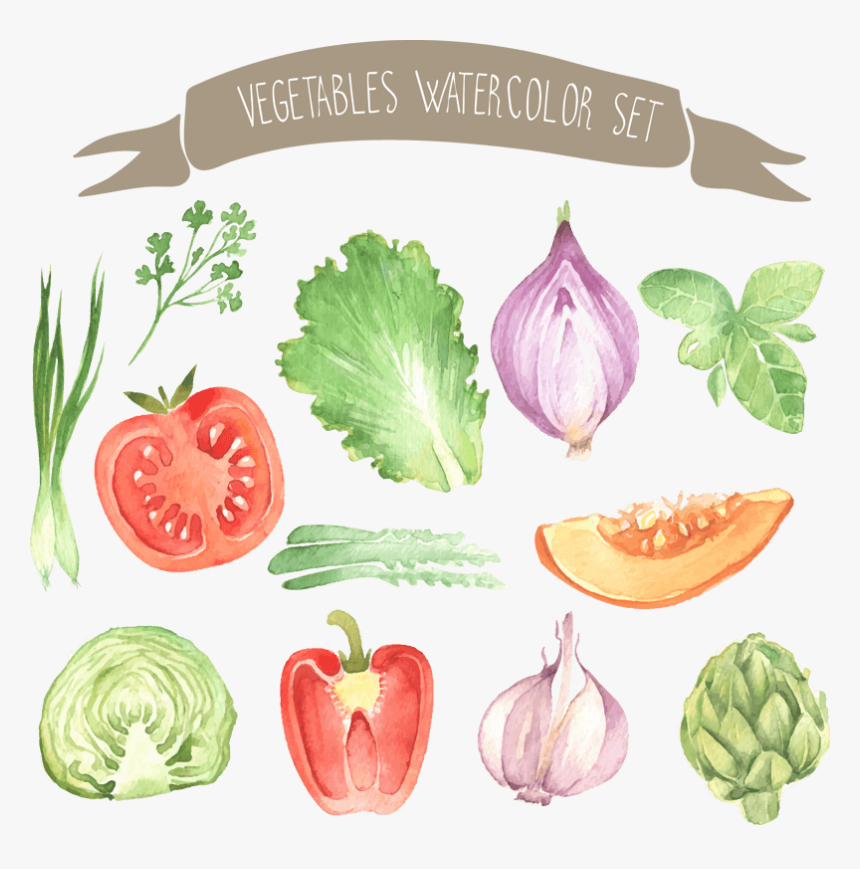 夏季新鲜蔬菜西红柿组合 - Watercolor Painting, HD Png Download