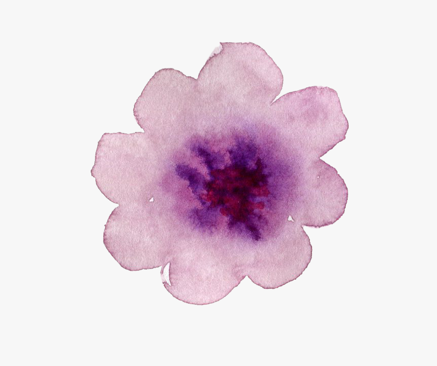 Floral Watercolor Png, Transparent Png
