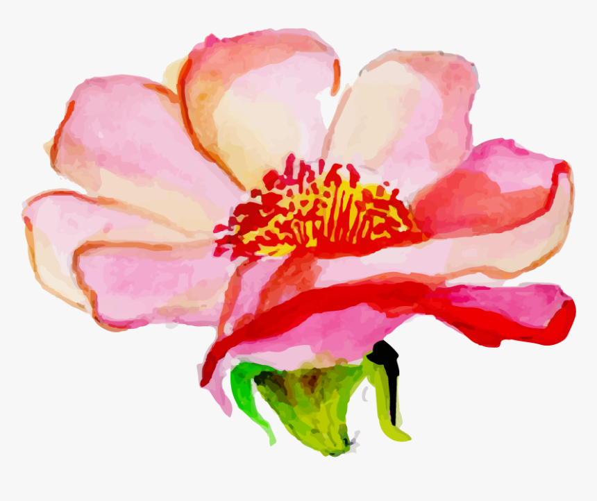 Rosa Rubiginosa, HD Png Download