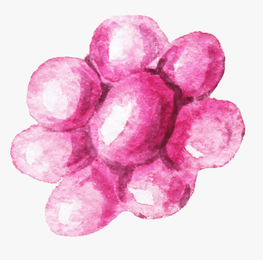 中国风荷花水彩画 - Watercolor Paint, HD Png Download