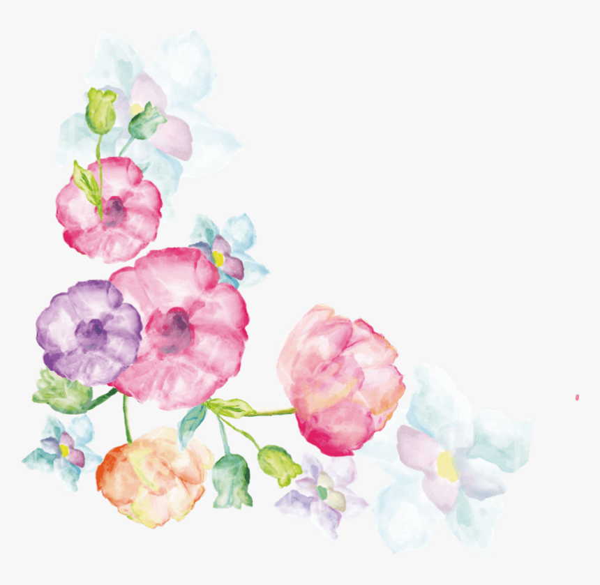 康乃馨花茶美容饮品实物免抠png素材 - Artificial Flower, Transparent Png