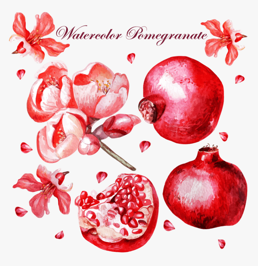 矢量卡通扁平化mbe红石榴边框, HD Png Download