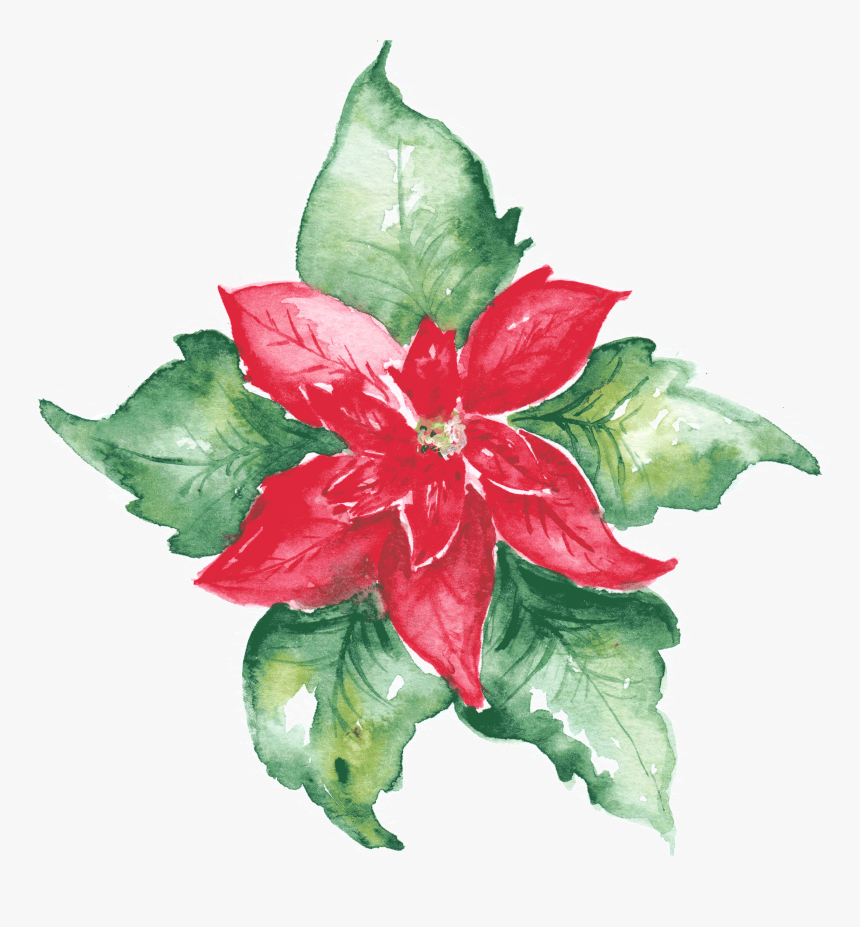 Floral Watercolor Png, Transparent Png