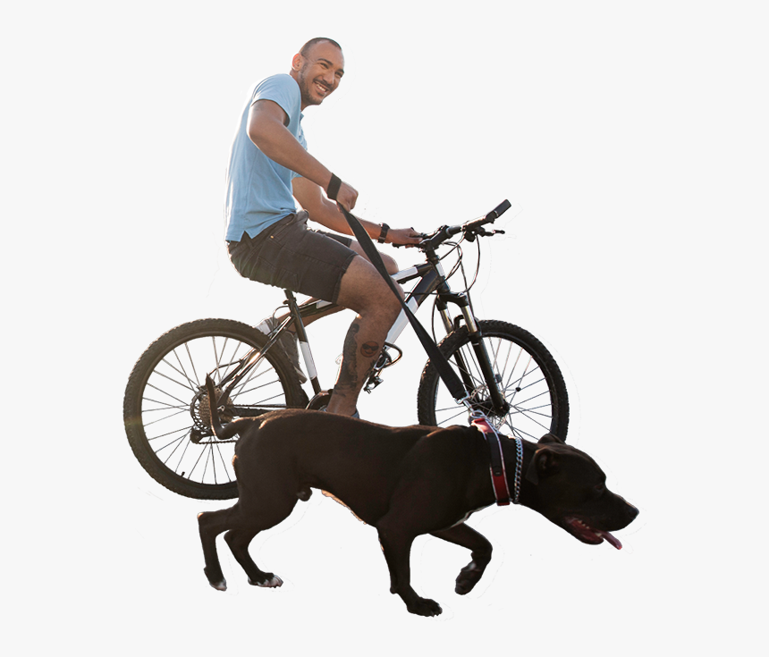 Companion Dog, HD Png Download