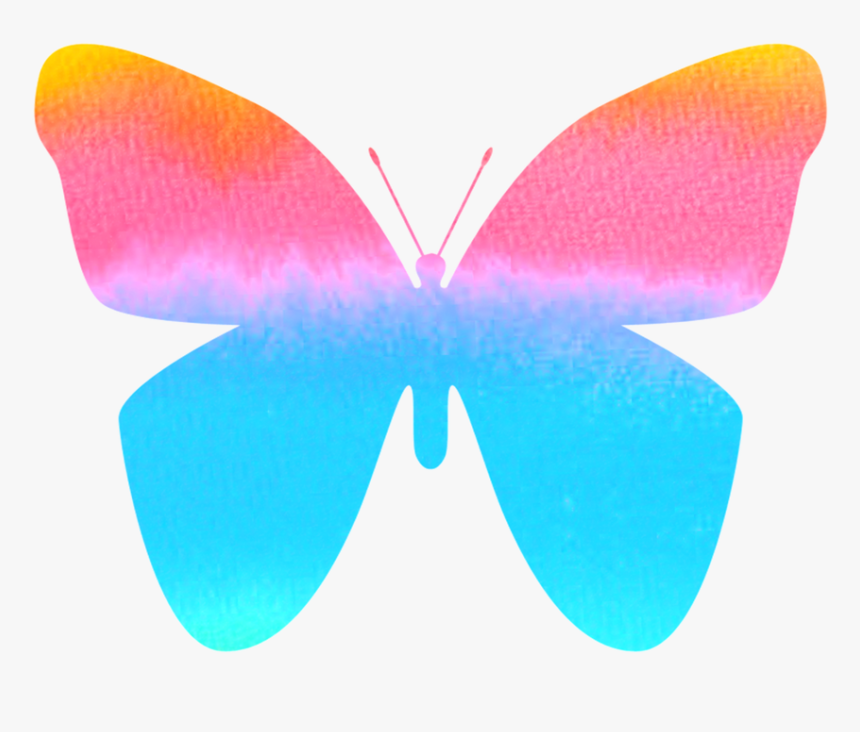 Artsy Butterfly, HD Png Download