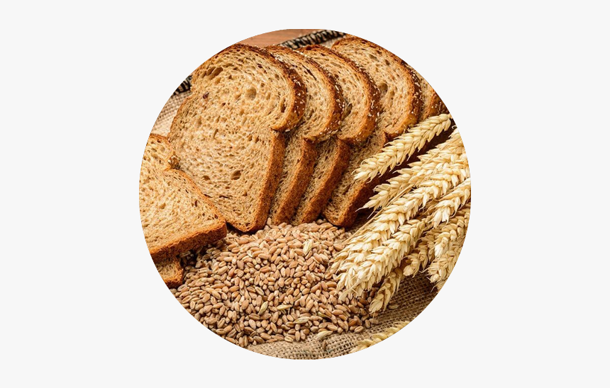 Integral - Pan Integral, HD Png Download