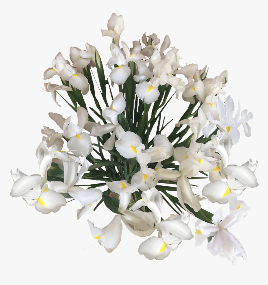 Flowers Online Blue White Wholesale Prices - Bouquet, HD Png Download