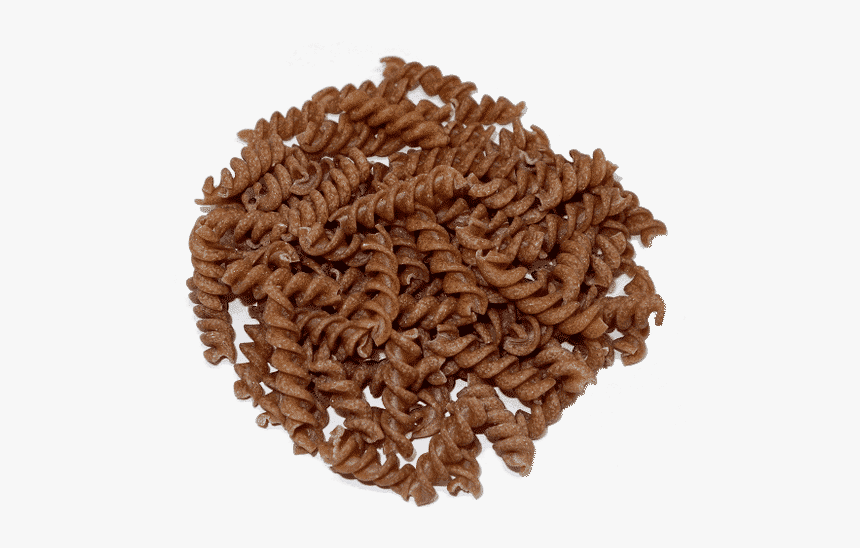 Seed, HD Png Download