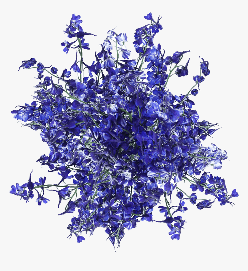 Fresh Blue Volken Delphinium Flowers - Artificial Flower, HD Png Download