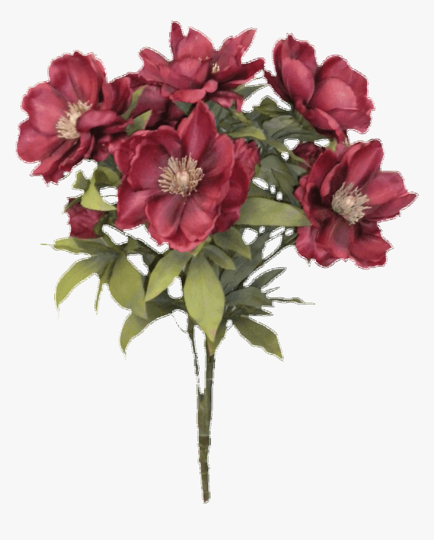 Silk Magnolia Bush - Buchet De Trandafiri 21, HD Png Download