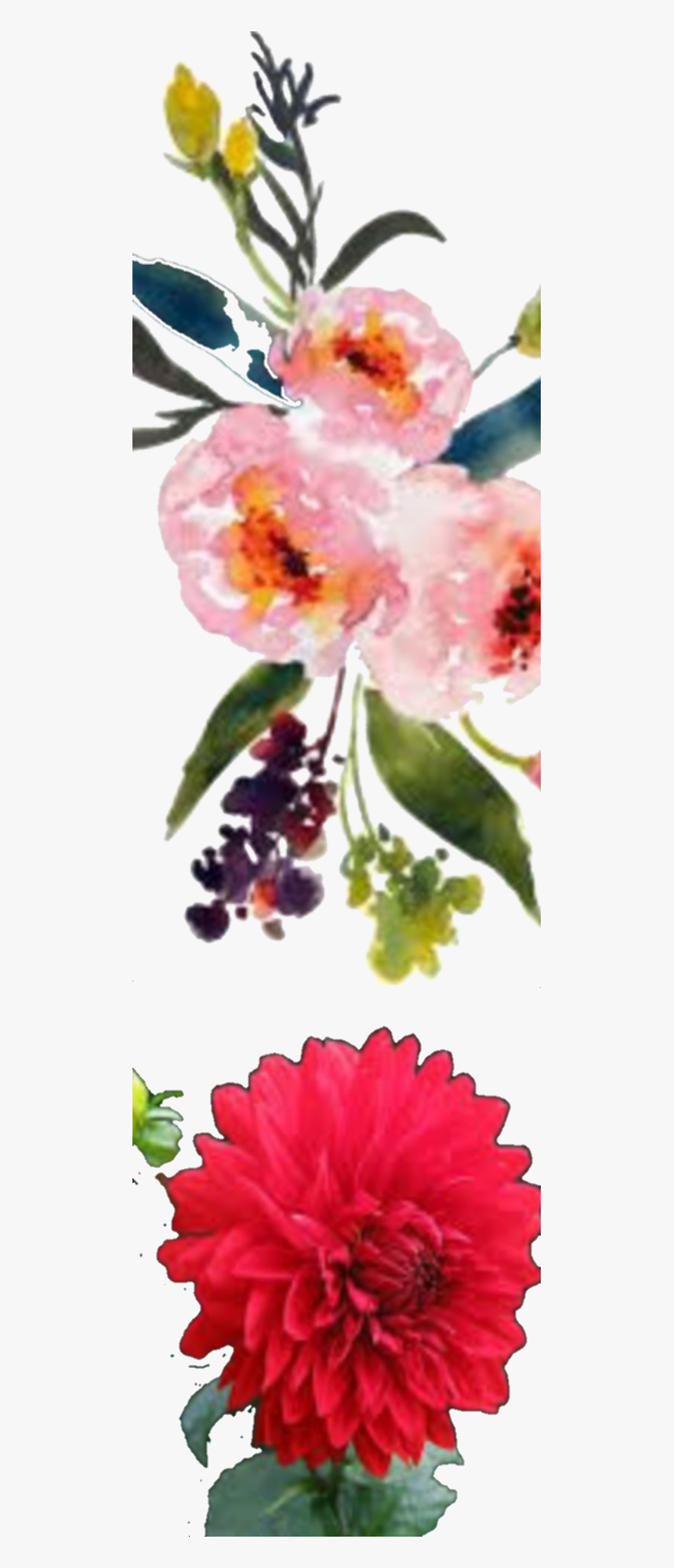 Portable Network Graphics, HD Png Download